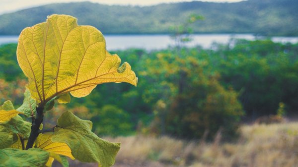 Week-end aus ki : échappez-vous vers les alpes enneigées